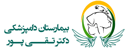لوگو بیمارستان دامپزشکی شبانه روزی دکتر تقی پور
