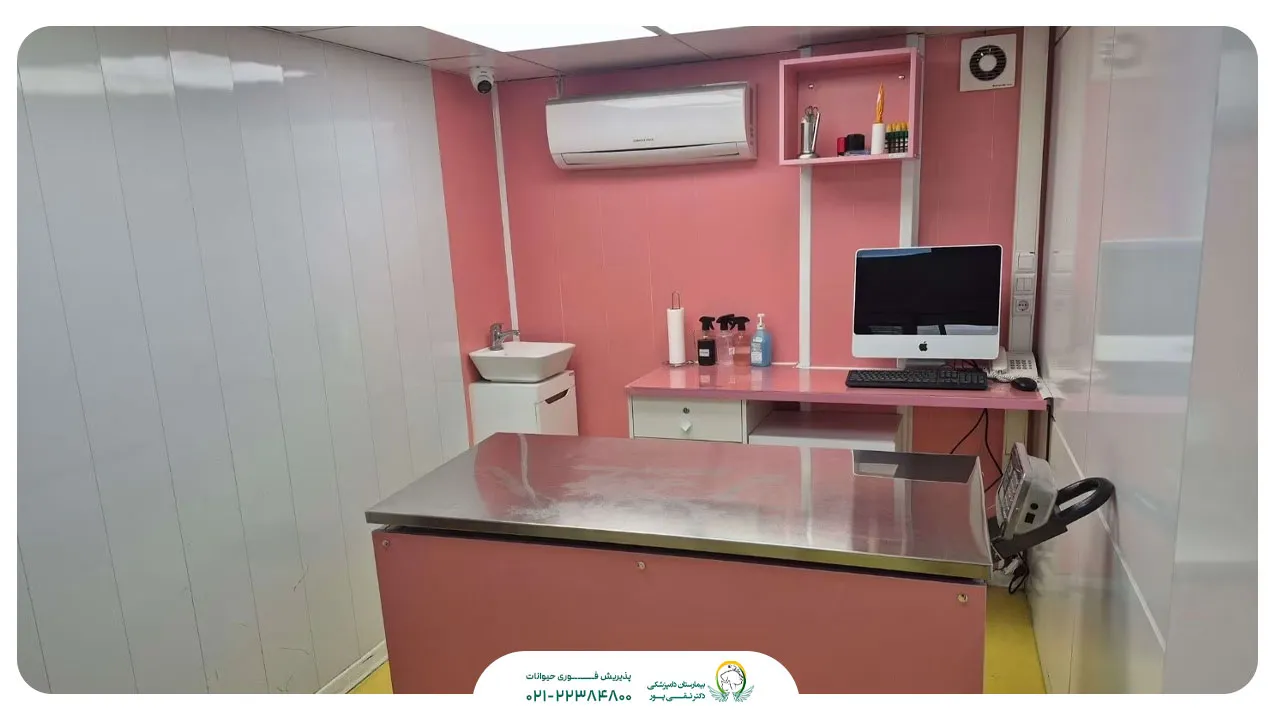 کیلینیک-دامپزشکی-شبانه-روزی-تهران--تقی-پور