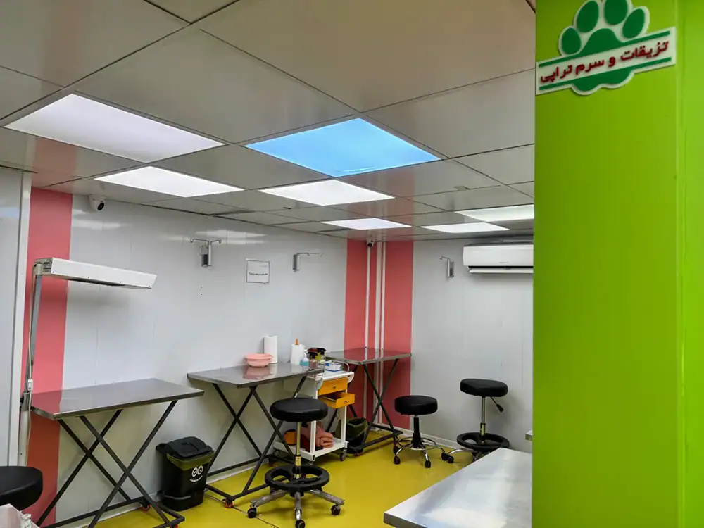 سرم تراپی و تزریقات دامپزشکی بیمارستان دامپزشکی شبانه روزی دکتر تقی پور