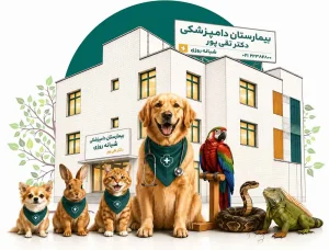 بیمارستان دامپزشکی شبانه روزی دکتر تقی پور